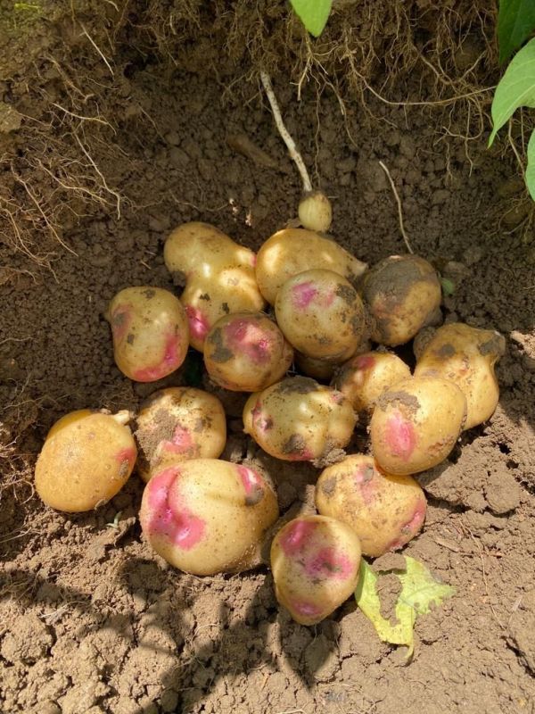 03178a82-47fc-440c-bfa2-a477dfa89e7c