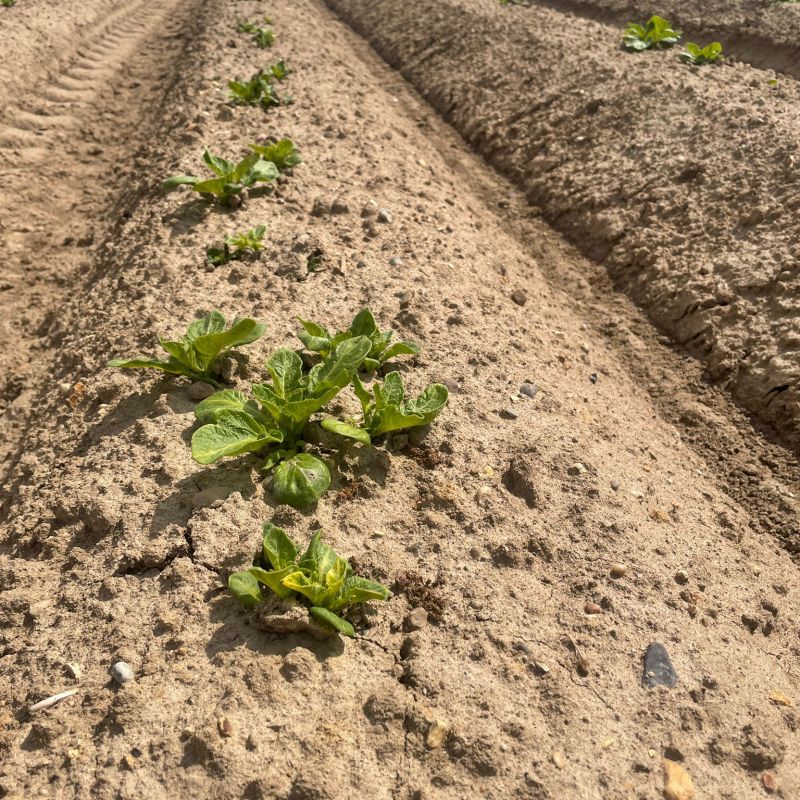 1975bbac-790f-440c-90fc-05e19898ed08