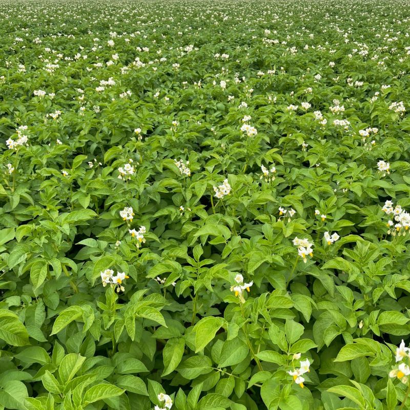 1b2b1b3c-acf8-43ce-8aa2-0d6f53de6913