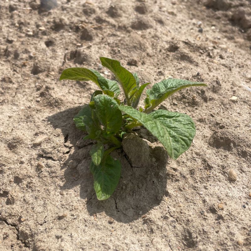 241750a7-6ef1-4216-9753-5a5cacc9c374