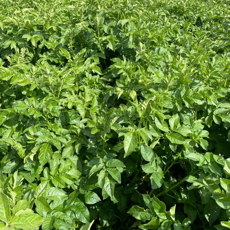 2be00bb4-8fa8-4164-9a2f-8d3f4cf40e90