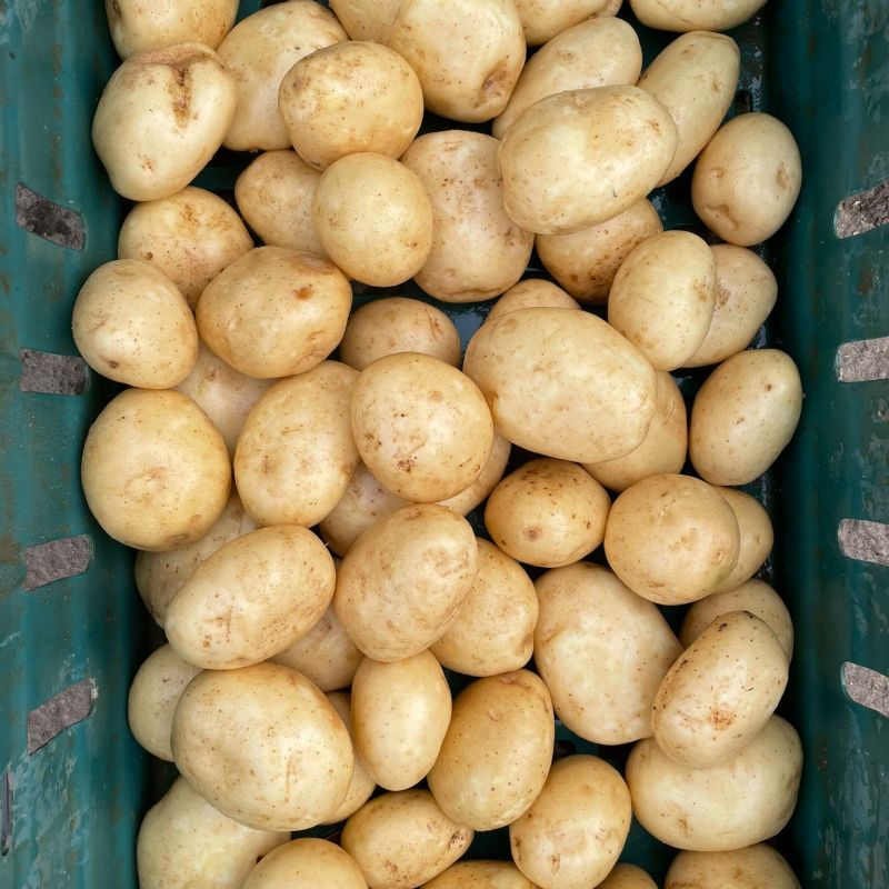 30512383-560f-496d-aca5-b3372e5d18ee