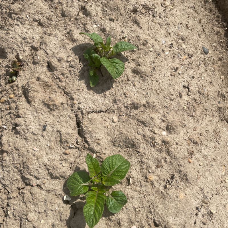 386ec033-579c-4f70-991f-b76163055cb2