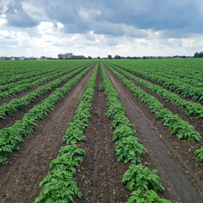 3abb16dc-e2c8-4ba7-a6cd-b57abca054b1