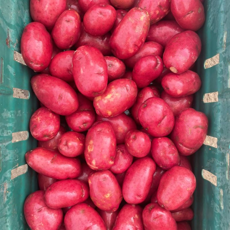 42522c9d-a427-42a3-a9a2-e0c08b814197