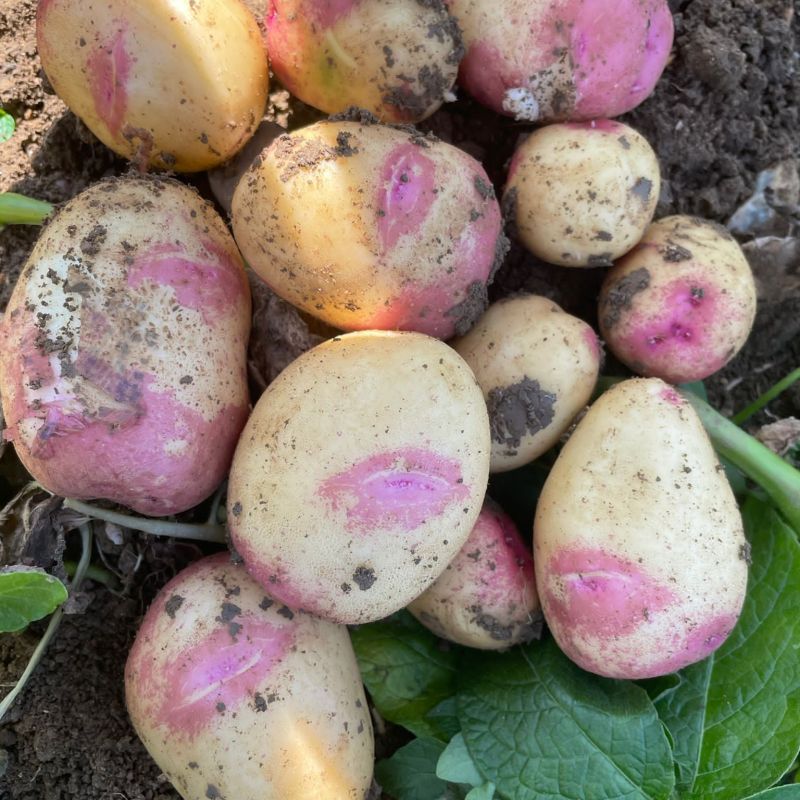 48bb32b1-d74b-42d4-854d-1bbf59311172