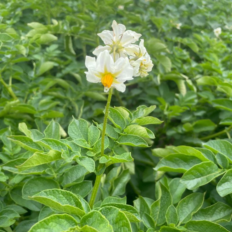 53e63f0c-afce-40f7-9985-e0b3c06c19a0