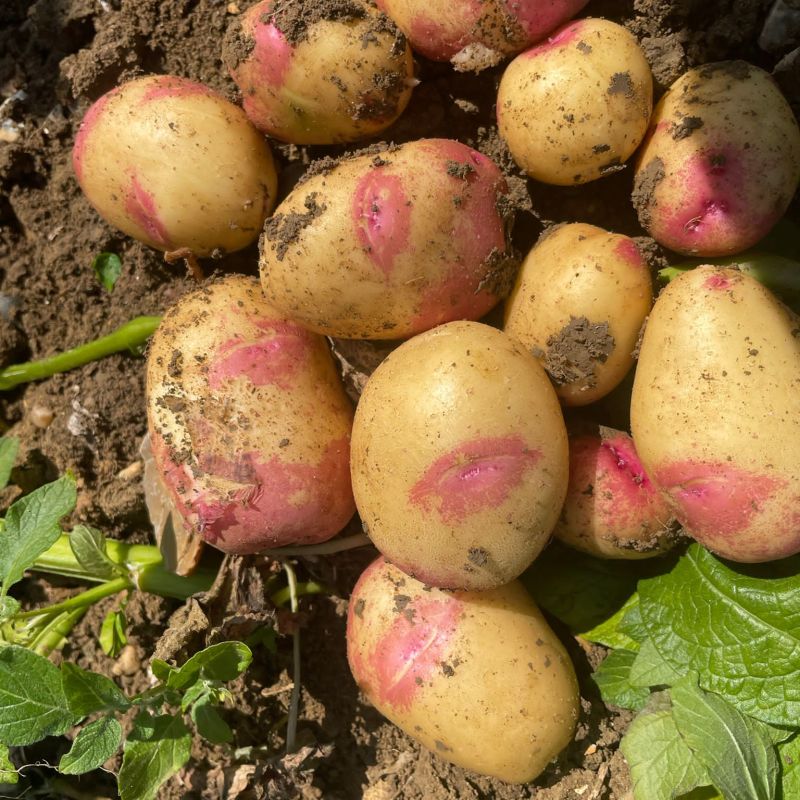 6352694a-6ea1-4cad-b32d-82a4842b5b69