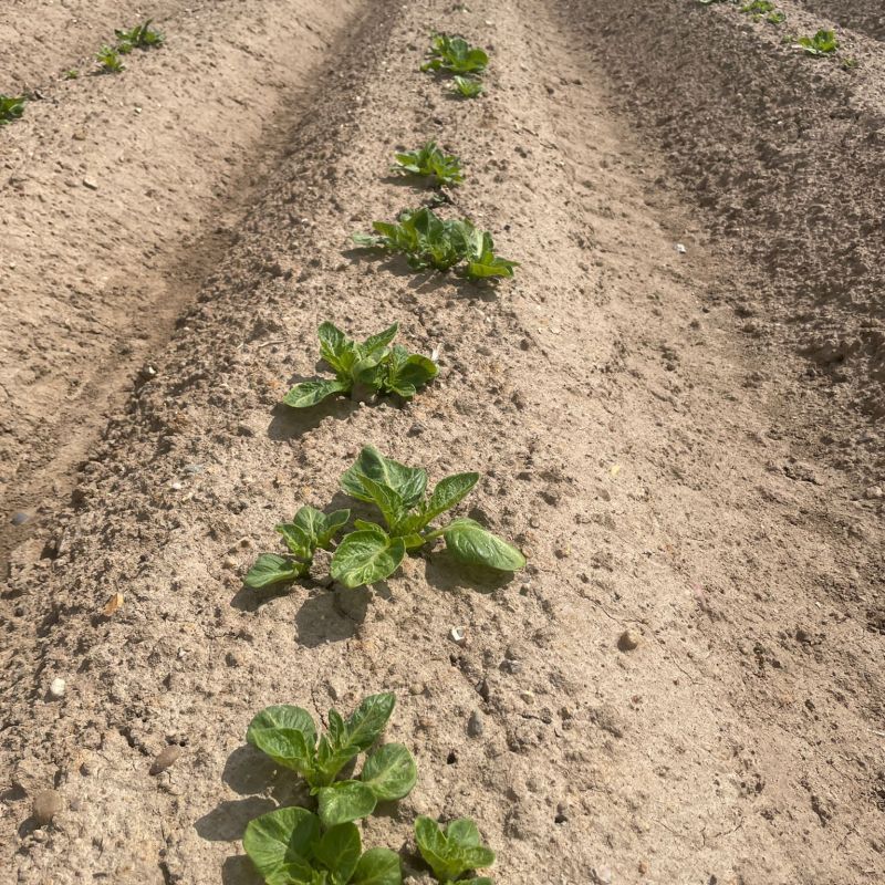 642458e4-eb2f-4763-8800-d6cd405fdc66