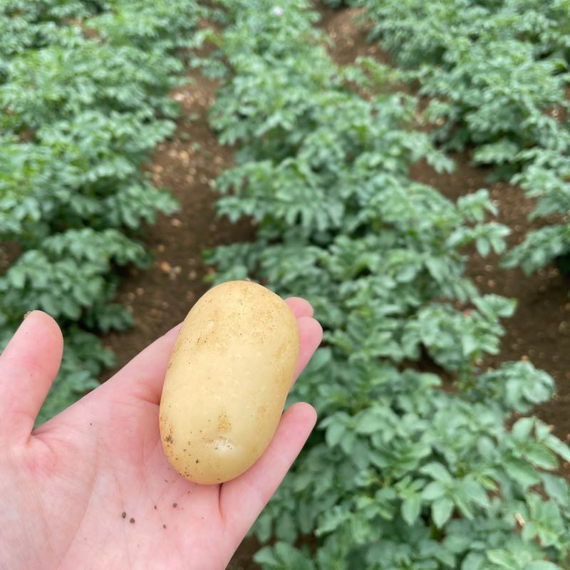 787b2c67-061b-46bb-937f-7beb448d5e4f