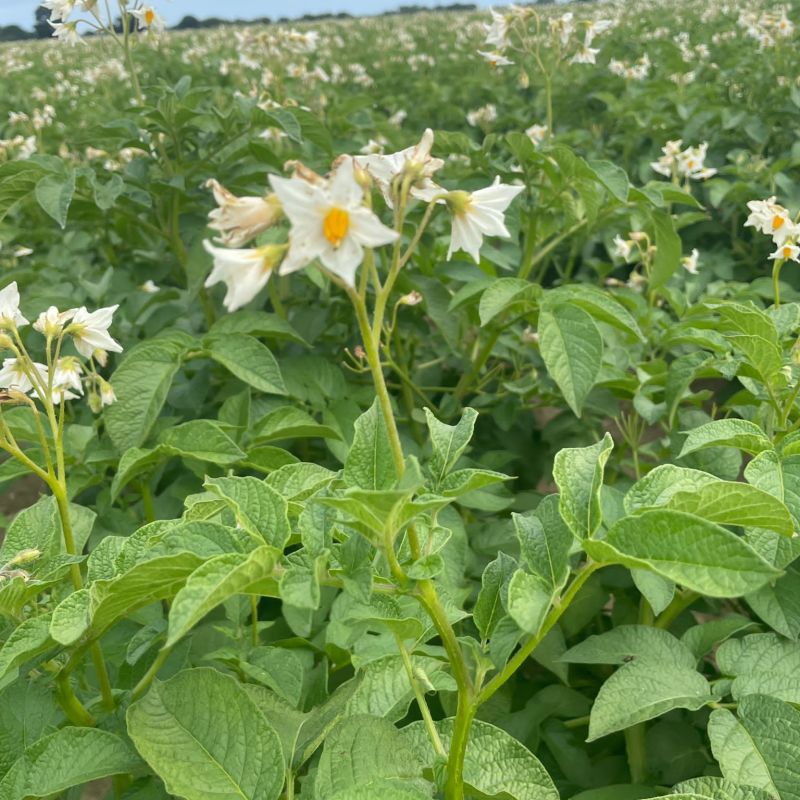 92d6106c-ae09-4038-9ccf-48a81c09da25