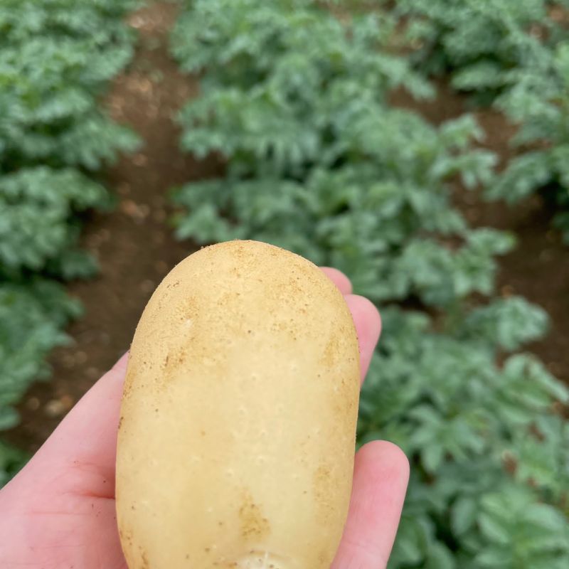 a01a1c68-a5e0-48de-9093-e31eb51c6966