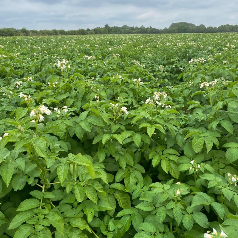 a8cd524e-209a-4790-97f3-cddc0419ff6b