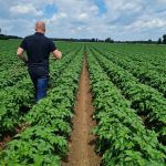 ac184541-2dc6-4e2f-9a77-c95d031e7944