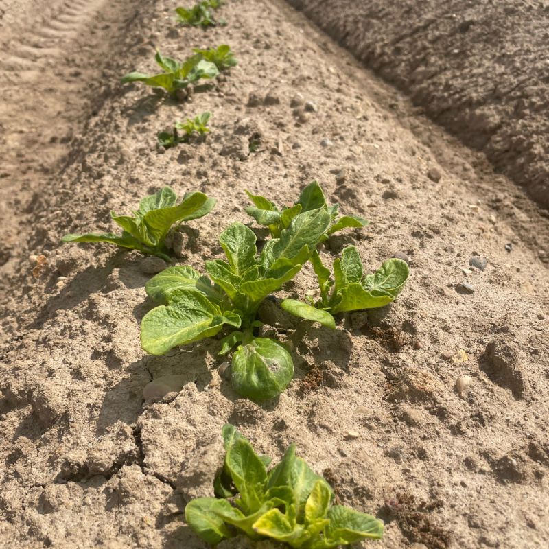 b312d126-7881-4414-a638-a333de78e6d8