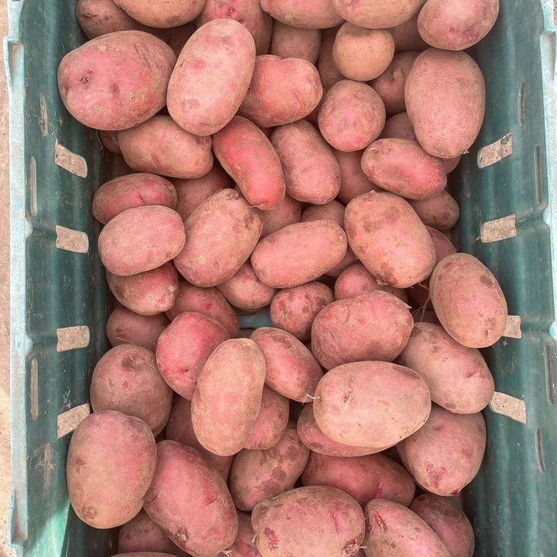 bbd1e455-f5a7-491e-aa68-45ceb24a2572