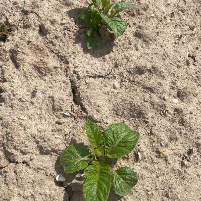 c4911256-e761-46e3-9527-29ad83a597a3