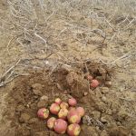 ce8b41d0-3fd5-4d87-95ee-4fe938db651d