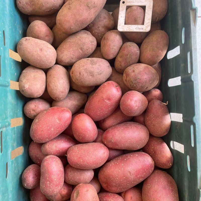 dc4e951c-6293-4325-b8e0-dacdf54ba27f