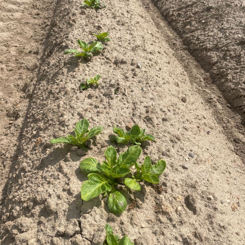 dece83da-15ac-476a-84d7-1ccc638ff36f