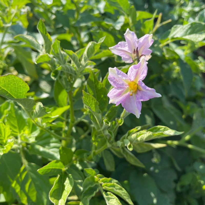 f39f1dce-dc2b-44ec-bce1-0cff529101ef