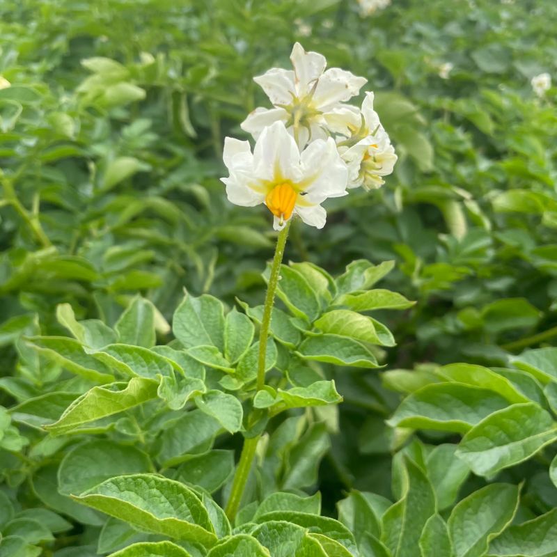 f95ce89e-0707-44e7-a31d-600f687cf659